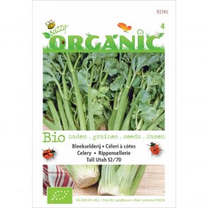 Apium graveolens Tall Utah 52/70 - kologiske fr