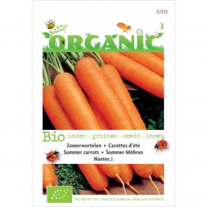 Daucus carota Nantes 2 - kologiske