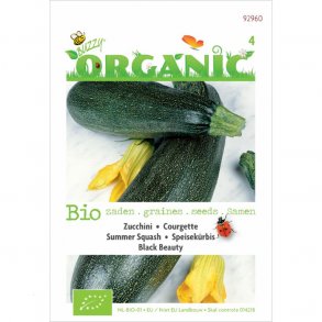 Cucurbita pepo Black Beauty - kologiske