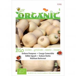 Cucurbita moschata Waltham Butternut - kologiske