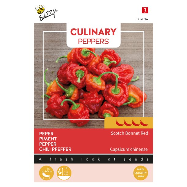 Capsicun chinense Scotch Bonnet Red