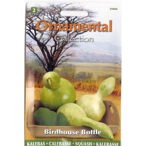 Lagenaria siceraria Birdhouse Bottle