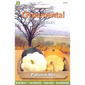 Cucurbita pepo Patisson Mix