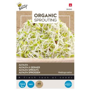 Lucernespirer - Medicago sativa - �kologiske fr� - BUZZY� ORGANIC SPROUTING 