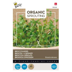Broccolispirer - Brassica oleracea - kologiske fr - BUZZY ORGANIC SPROUTING 