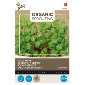 Rucola spirer - Eruca sativa - �kologiske fr� - BUZZY� ORGANIC SPROUTING 