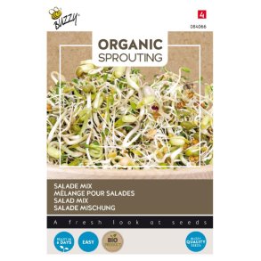 Salatmix spirer - Brassica oleracea - �kologiske fr� -BUZZY� ORGANIC SPROUTING 
