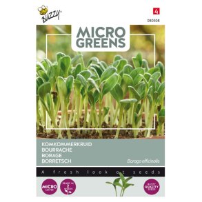 Hjulkrone - Borago officinalis - Buzzy� Micro Greens