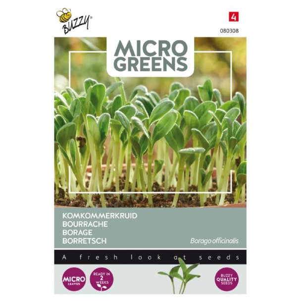 Hjulkrone - Borago officinalis - Buzzy Micro Greens