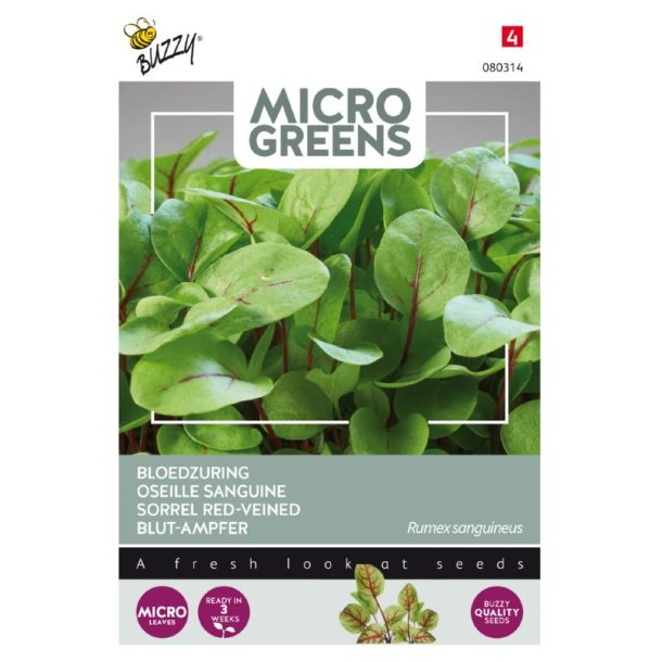 Rd havesyre - Rumex sanguineus - Buzzy Micro Greens