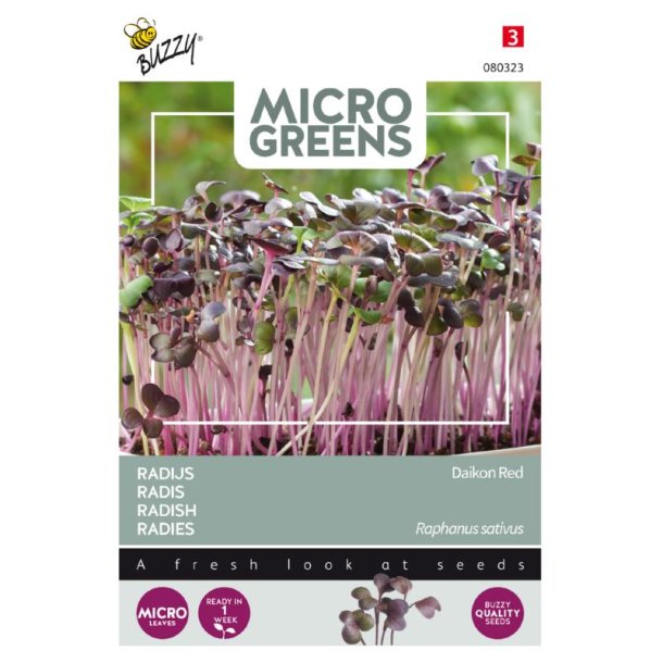 Radiseskud - Paphanu sativus Daikon Red - Buzzy Micro Greens