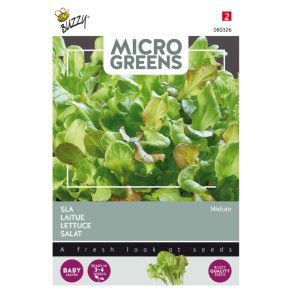 Salatmix - Lactuca sativa - Buzzy� Micro Greens