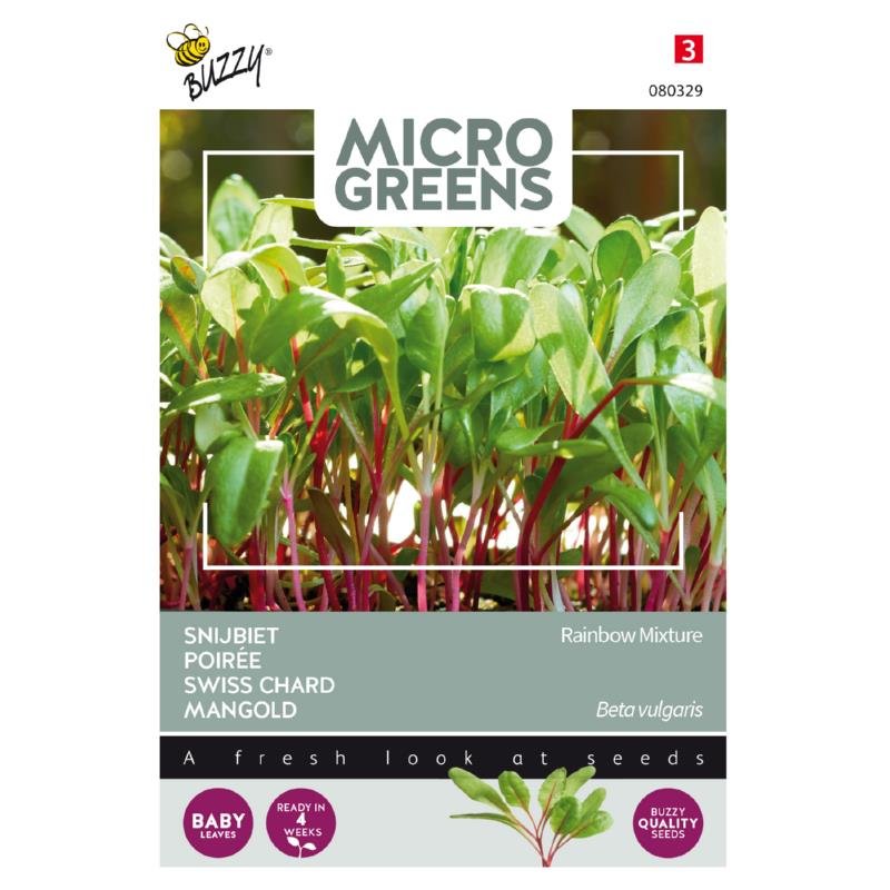 Bede Rainbow mix | Beta vulgaris | Frø | Buzzy® Micro Greens