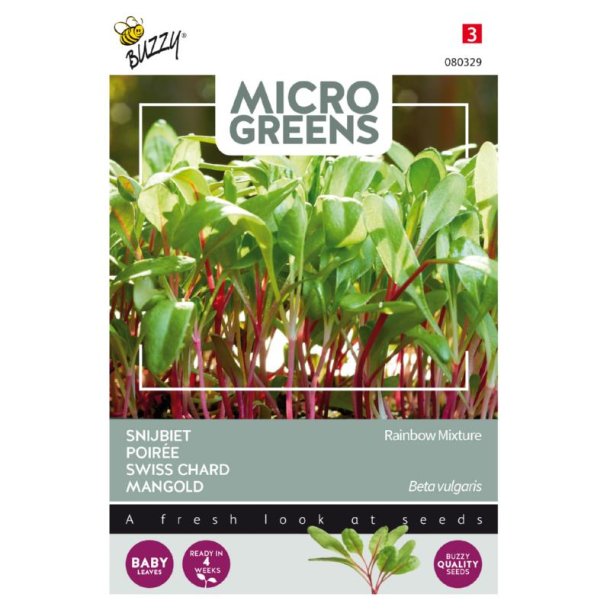 Bede - Beta vulgaris Rainbow mix - Buzzy® Micro Greens