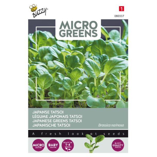 Pak Choi - Brassica rapa var. narinosa Tatsoi - Buzzy Micro Greens