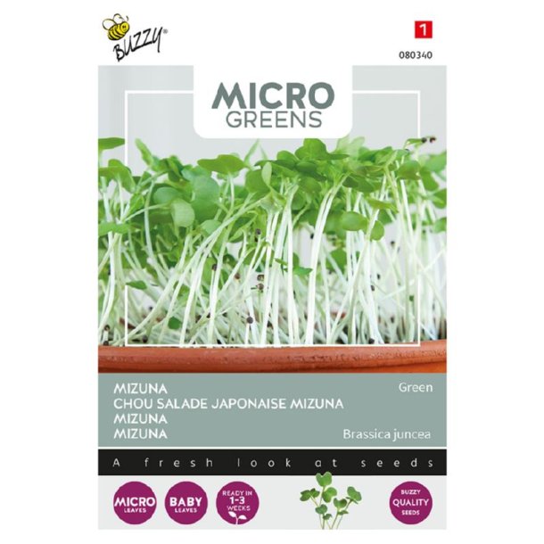 Japansk Salatsennep - Brassica juncea Mizuna - Buzzy Micro Greens