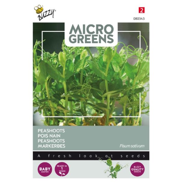 rteskud - Pisum sativum - Buzzy Micro Greens