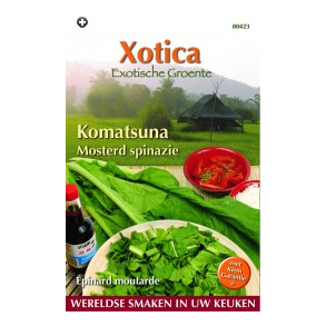 Brassica campestris var. rapa Komatsuna