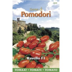Solanum lycopersicum Ravello F1