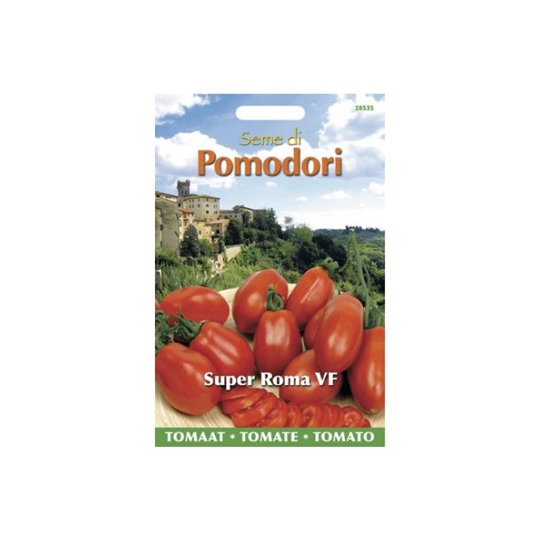 Solanum lycopersicum Super Roma VF