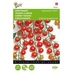 Solanum lycopersicum Supersweet 100 F1