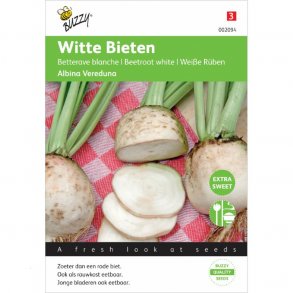 Beta vulgaris var. conditiva Albina Vereduna