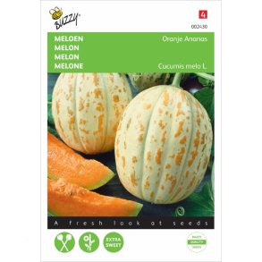 Cucumis melo Oranje Ananas