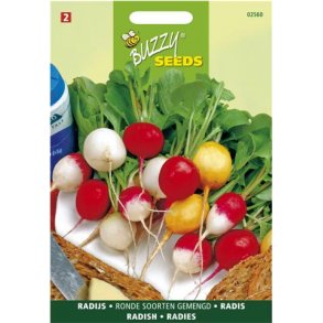 Raphanus sattivus Mixed