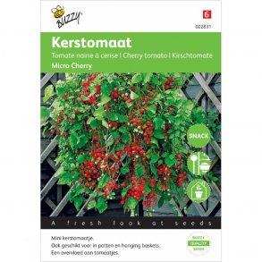 Solanum lycopersicum Micro Cherry