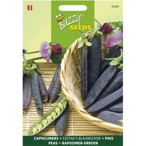 Pisum sativum Ezethas Krombek Blue-podded