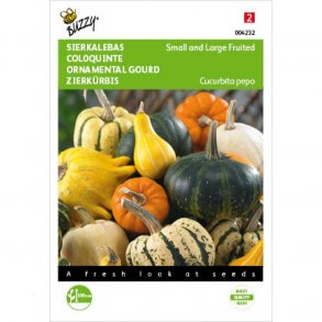 Cucurbita pepo Sm�pyntegr�skar blanding