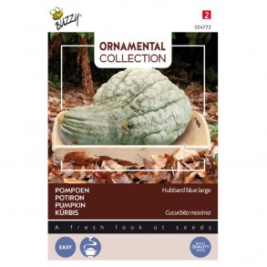 Cucurbita maxima Large Blue Hubbard