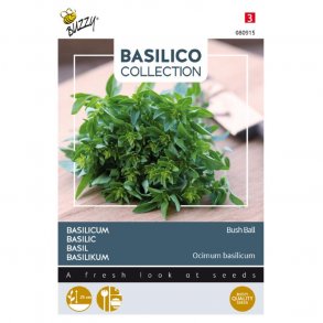 Ocimum basilicum Greek Bush Ball