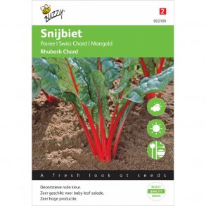 Beta vulgaris Rhubarb Chard