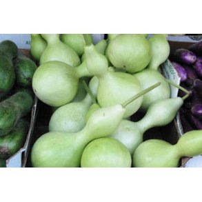 Kalabas frø - Luffa frø