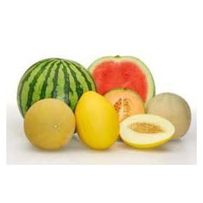 Melon frø- Vandmelon frø