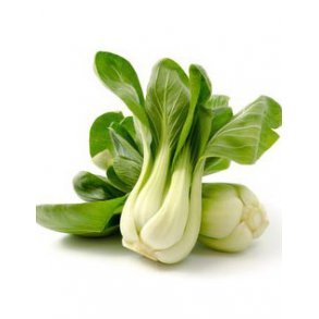 Pak Choi frø