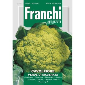 Brassica oleracea botrytis verde DI Macarata