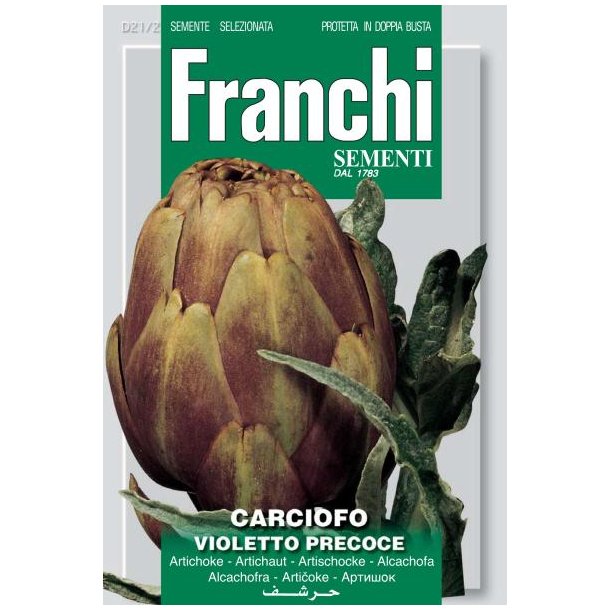 Cynara cardunculud Violetto Precoce