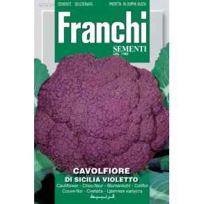 Brassica oleracea botrytis Di Sicilia Violetto