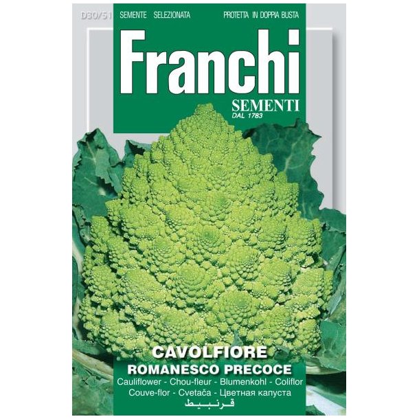 Brassica oleracea botrytis Romanesco Precoce
