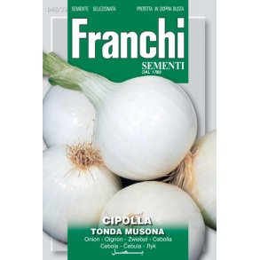 Allium cepa Tondo Musona