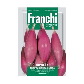 Allium cepa Tropea Rossa