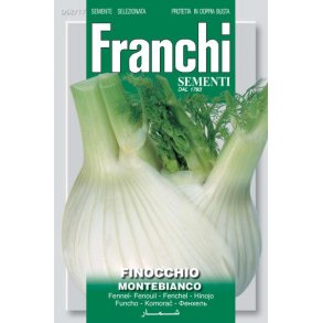 Foeniculum vulgare Montebianco