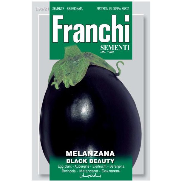 Solanum melongena Black Beauty