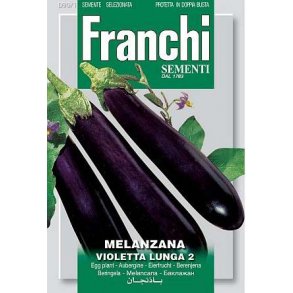 Solanum melongena Violetta Lunga 2