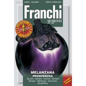Solanum melongena Prosprosa