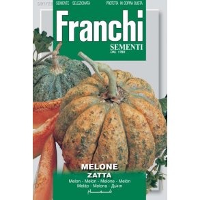 Cucumis melo Zatta