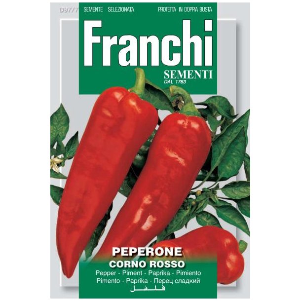 Capsicum annuum Corno Rosso