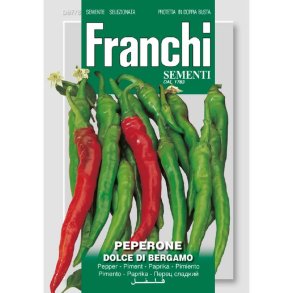 Capsicum annuum Dolce Di Bergamo
